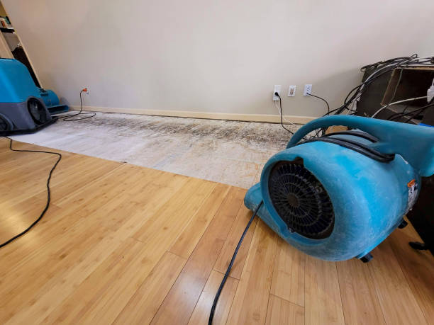 Professional Burst Pipe Water Damage technician working in Brook Park, MN